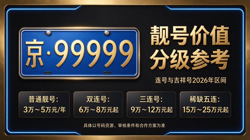 专业团队服务车辆展示
